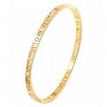 Bracciale Rigido con Zirconi in Acciaio Placcato Oro 18K